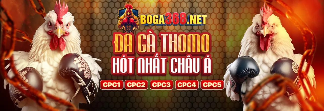 Hình ảnh chính về chiến lược cá cược tốt nhất của k9cc bet